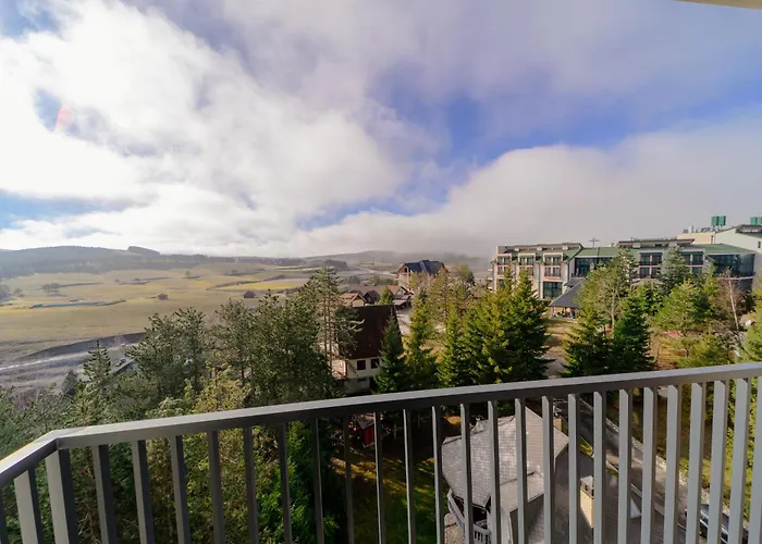 Pine & Peak * Zlatibor